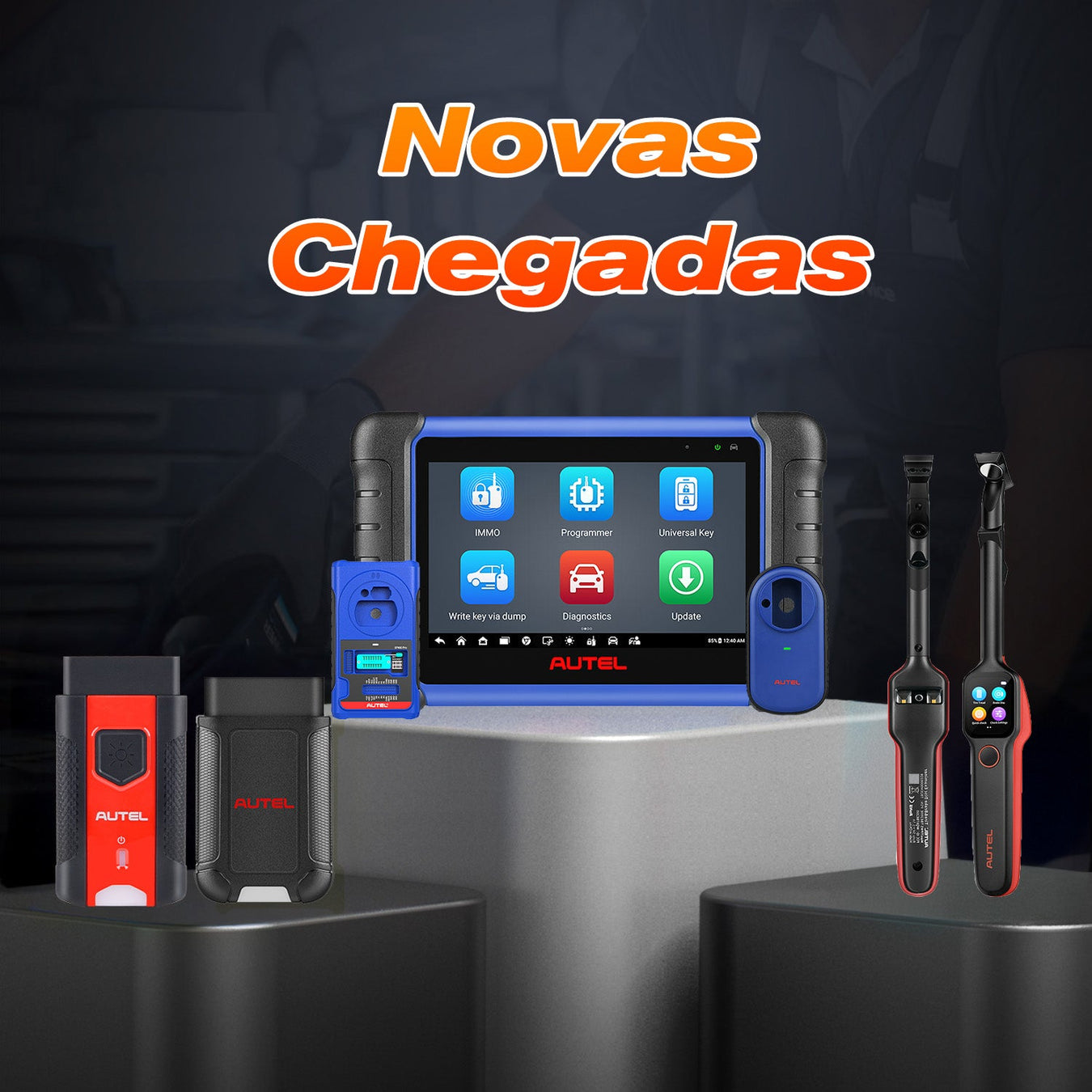 Novas Chegadas